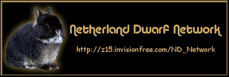 Netherland Dwarf Network Forums ~ Please Join 

Us!